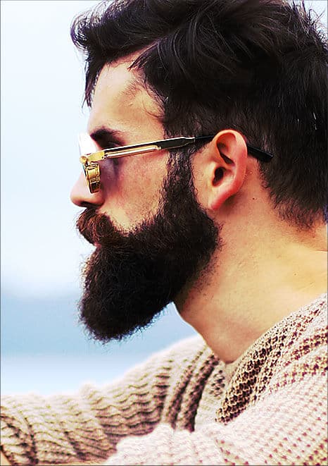 beard-photo-02-free-img.jpg